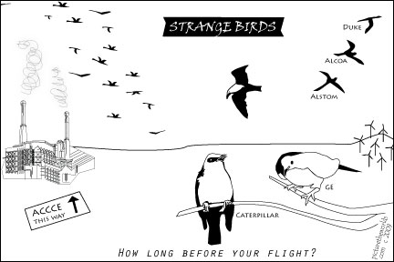 Strange Birds